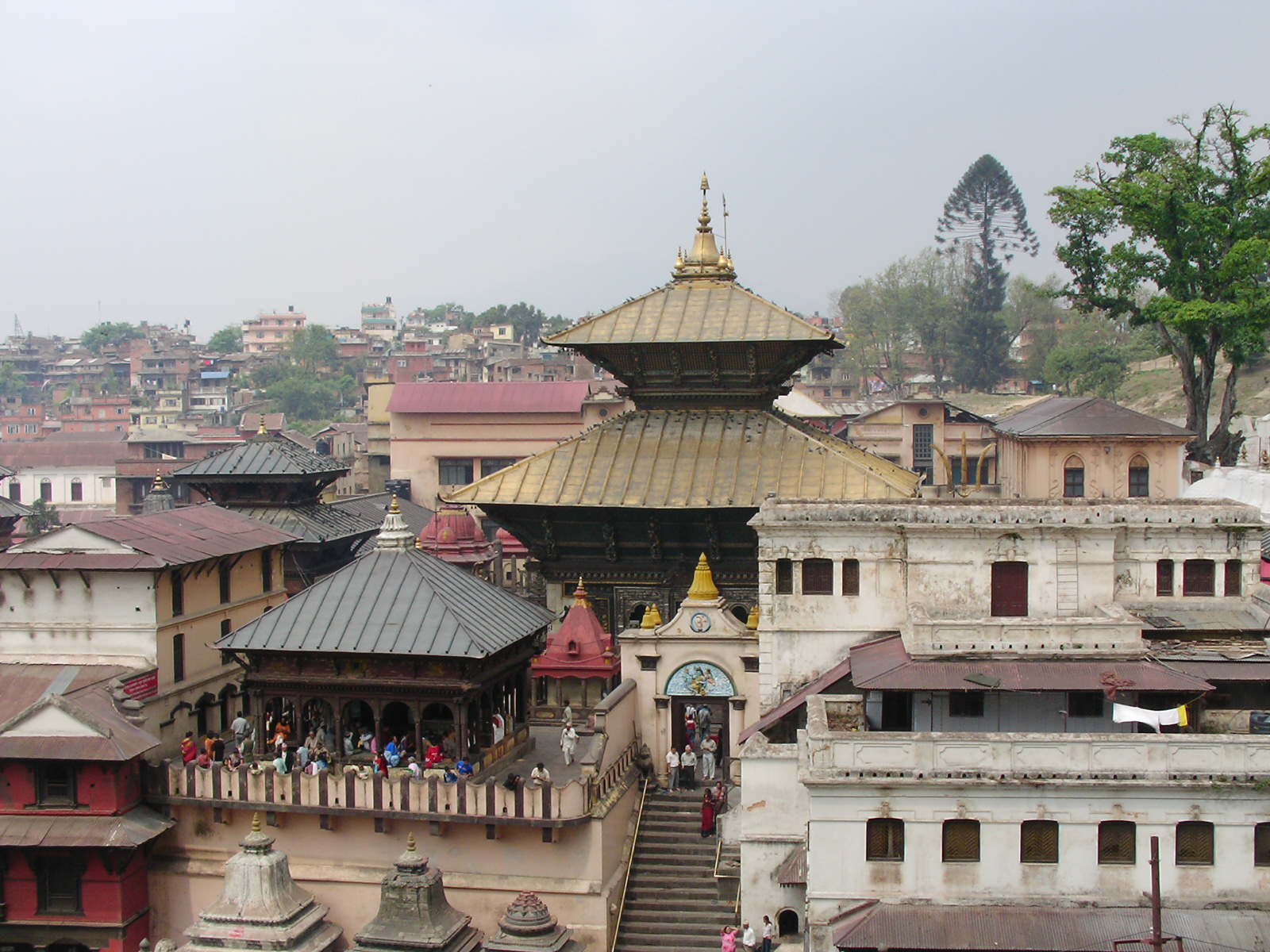 lp[̃pVpeBi[g̃S[fev