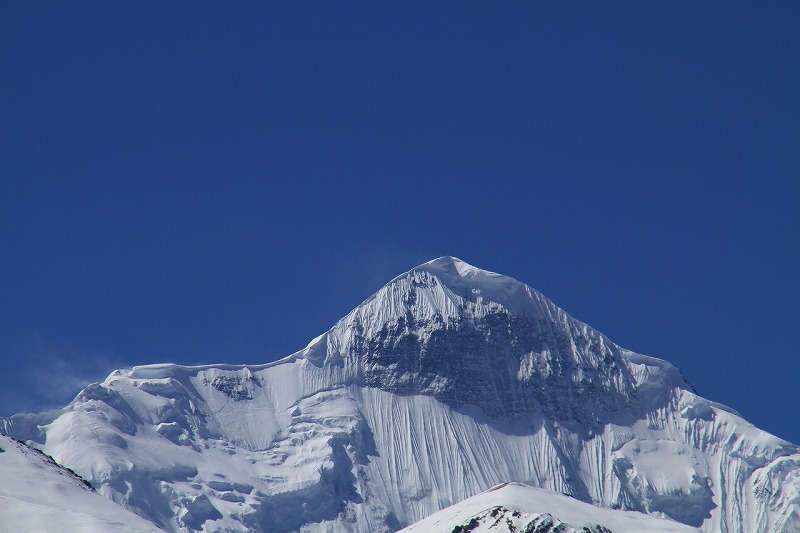 雲一つ無い時のネパールのヒマラヤのニルギリ山です。
