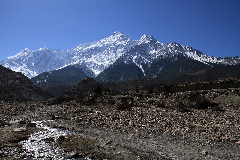 小川とニルギリ山です。