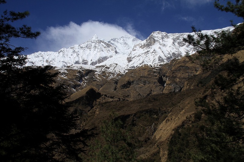 ダウラギリT峰(8,167m)の東山麓