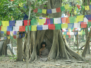 ネパールのブッダの生まれ変わり少年